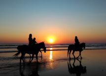 Drei Reiter am Strand